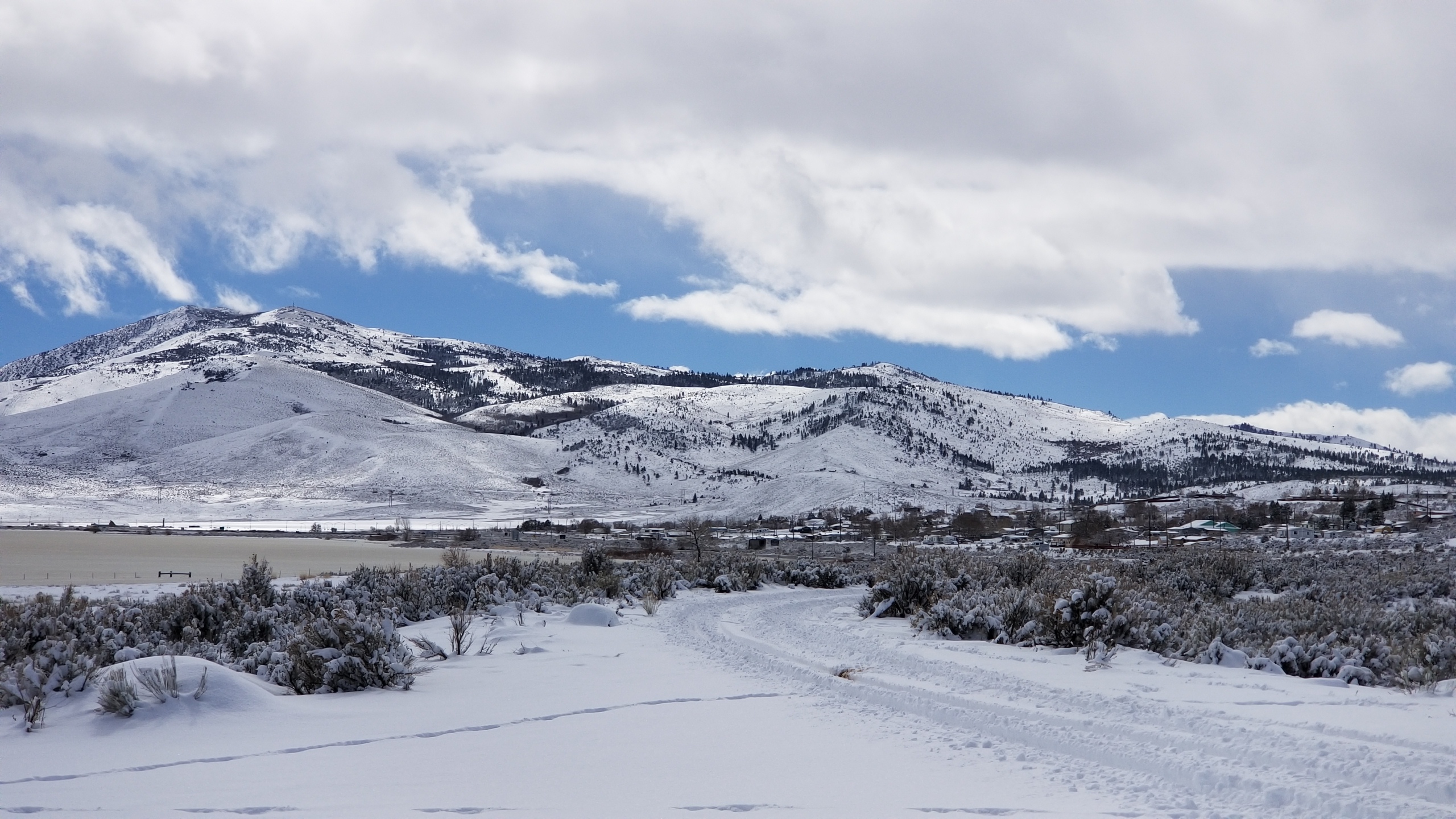 Cold Springs Nevada